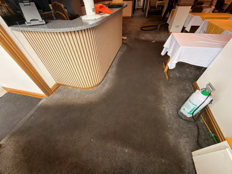 Before carpet cleaning